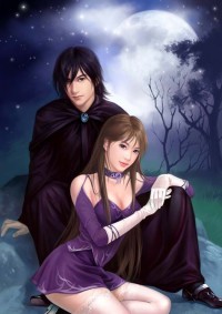 贅婿為尊