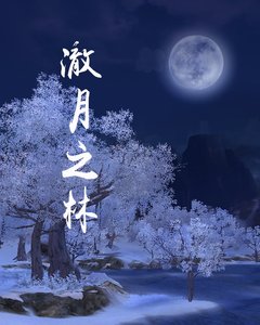 澈月之林