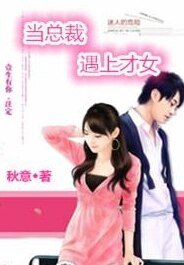 當總裁遇上才女